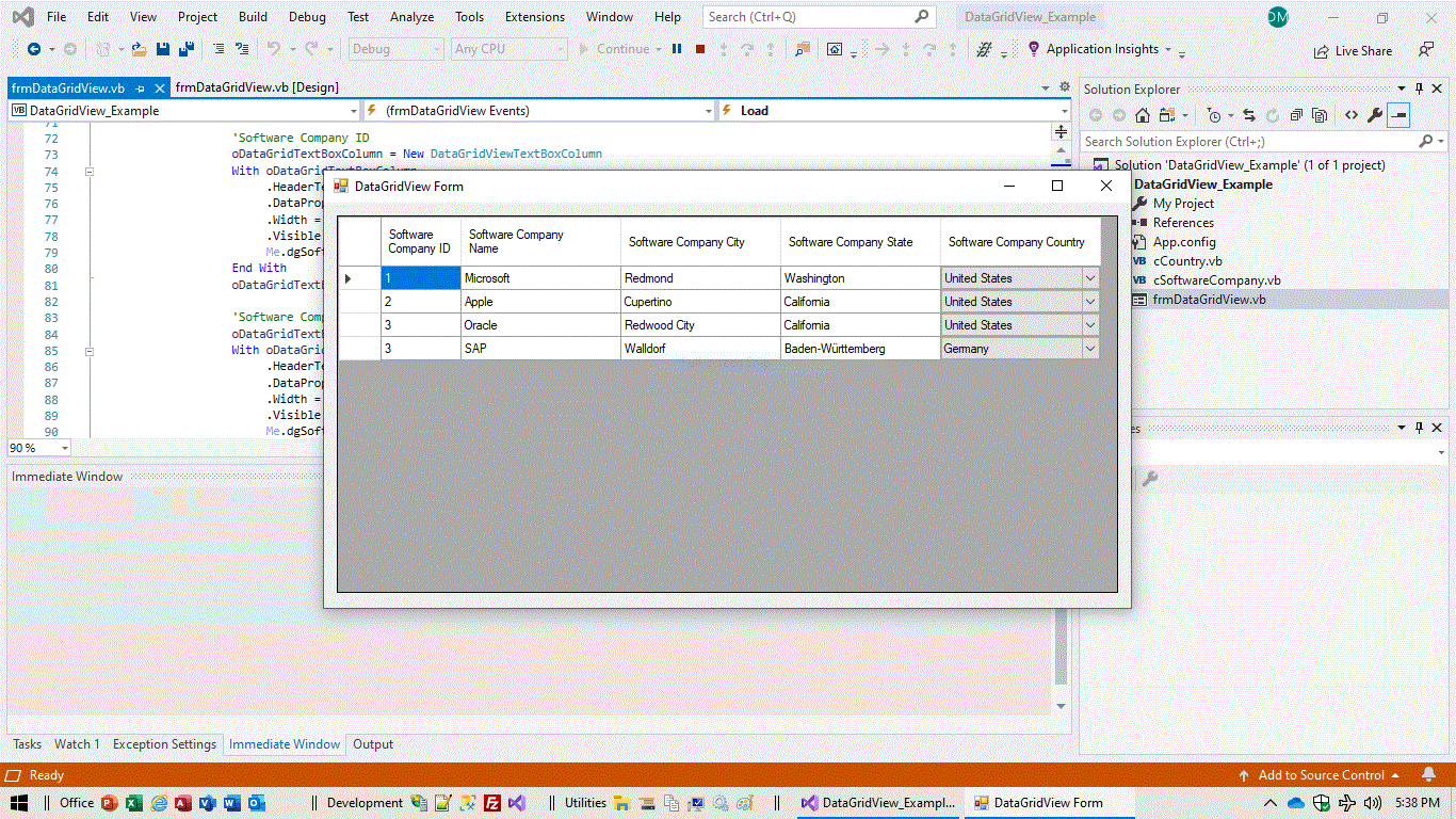 The DataGridView Control